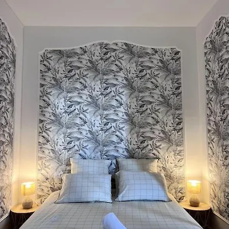 Le Saumaise : Centre Historique דיז'ון