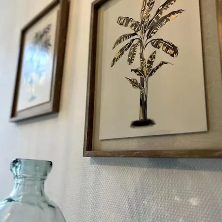 Le Saumaise : Centre Historique Dijon